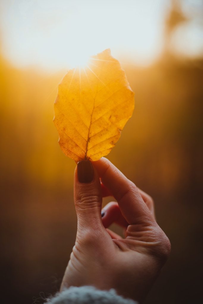 Com són les sessions de teràpia Haiku Psicologia Granollers